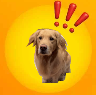 BOING Logo