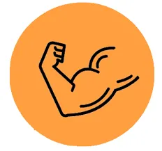 SC Logo