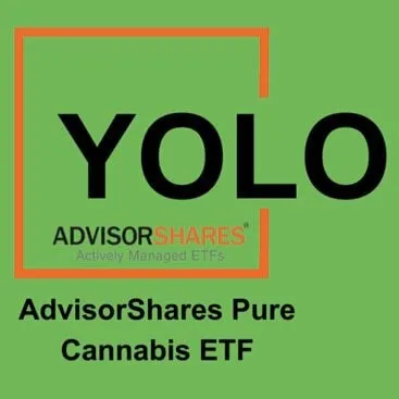 YOLO Logo